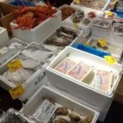 卸売市場にて魚の販売の画像