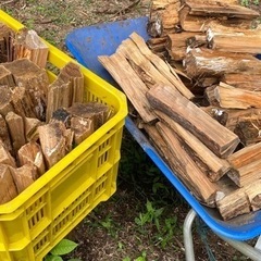 ヒノキの薪　約15Kgで500円の画像