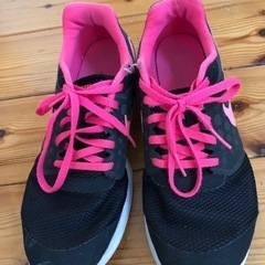 NIKE 25cmの画像