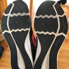 NIKE 25cmの画像