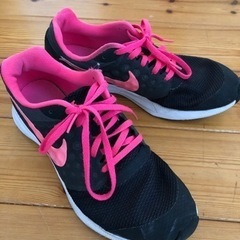 NIKE 25cmの画像