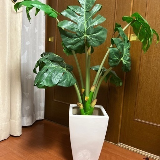 フェイクグリーン　モンステラ　観葉植物　室内　植物
