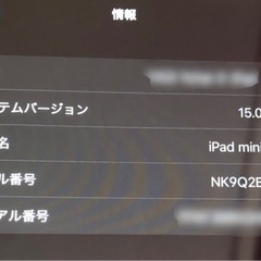 海外版 iPad mini 4 WI-FI 128GB 2021年7月新品で入手