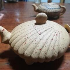 急須　貝型の画像