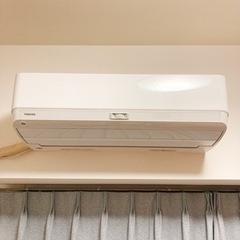 2020年購入　TOSHIBA大清快　