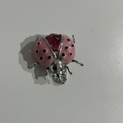 テントウムシ バッジ