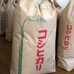丹後　コシヒカリ　10キロ3000円