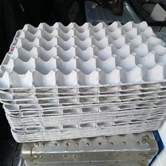 紙製卵パック(爬虫類　生き餌飼育用)