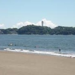 毎日散歩しています(^^)江ノ島マクドナルド付近済み - 藤沢市