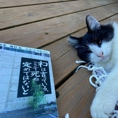 読書会しませんか？