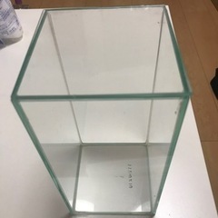 グラステリア100 コケリウム アクアリウム 水槽