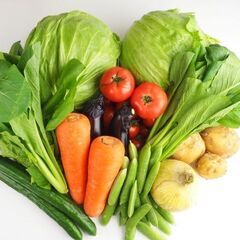 ★急募★【志布志】時給1200円！給与前払い制度あり(稼働分)★男女活躍★野菜の洗浄作業 　js0016の画像