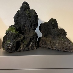 ADA雲山石