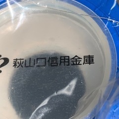 信ちゃん、貯金箱の画像