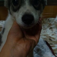 9月12日生まれの子達
