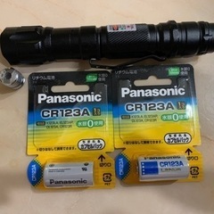 【新品未使用】グリーン　レーザーポインターPro　緑 プロフェッ...