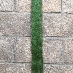 人工芝（1m×約0.88m）※ほぼ未使用。但し少し切りました。の画像