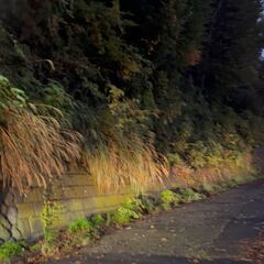 神奈川県中郡大磯町 #70 不動産0円物件 - 土地販売/土地売買