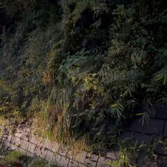 神奈川県中郡大磯町 #70 不動産0円物件 - 不動産