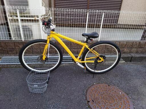 マウンテン自転車