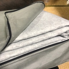 ニトリ★約2.5~3畳サイズホットカーペットの画像