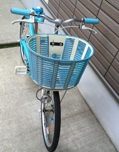 子供用 20インチ 自転車 ブリジストン エコパル 水色 【公式通販】