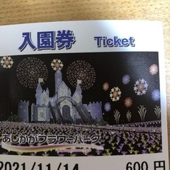 あしかがフラワーパーク　イルミネーション　入園割引き券