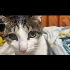 大切な家族の情報をどうか