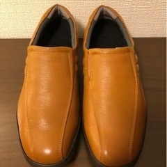日本製健康靴の画像