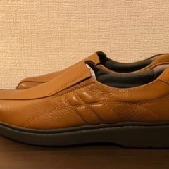日本製健康靴の画像