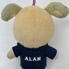 ALAN ぬいぐるみ 2個セット 白濱亜嵐 ジェネレーションズ GENERATIONS 片寄涼太 関口メンディー 片寄涼太 数原龍友 佐野玲於 小森隼 中務裕太 の画像