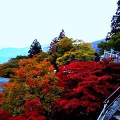 ハイキング仲間募集しています。(怪我のためすぐには行けません。。)