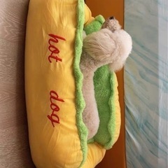 犬ベッド新品