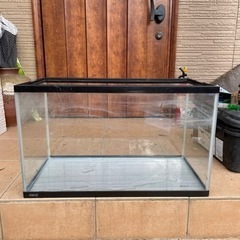 GEX ６０センチ水槽底面フィルター付き