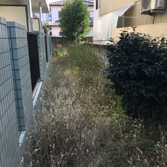 アパート敷地内草刈り作業＆片付け。半日作業程度で終了‼賃金6,000円!!!の画像