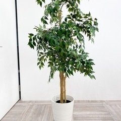 【お渡し済み】IKEA FEJKA フェイカ 人工観葉植物 室内...