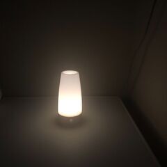 LEDライト　人感＆明暗センサーライト　ナイトライト　足元ライトの画像