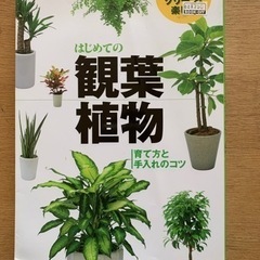 観葉植物の本