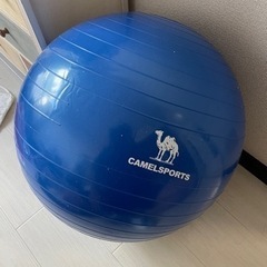 バランスボール(終了)