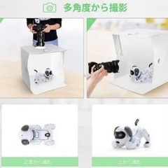値下げしました(今月中旬取下げ予定)の画像