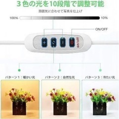 値下げしました(今月中旬取下げ予定)の画像
