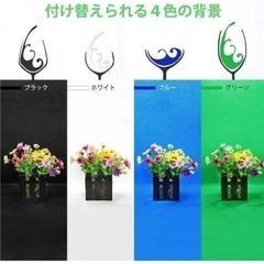 値下げしました(今月中旬取下げ予定)の画像