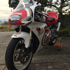 RGV250γ VJ23A ラッキーストライク　逆車の画像