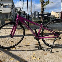 ディズニー トラディション ジムショア 4点セット ディズニー トラディション ジムショア 4点セット