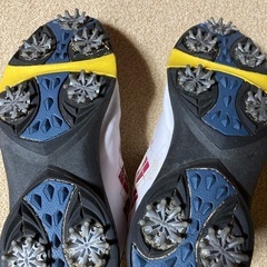 ゴルフ靴　24.5の画像