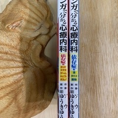 売れました！【直接手渡し】マンガでわかる心療内科　依存症編２冊　...