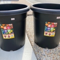 新品未使用　植木鉢　2個   2の画像