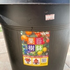 新品未使用　植木鉢　2個   2の画像