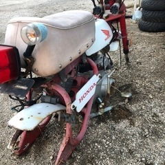 中華モンキー二台　決まりましたの画像