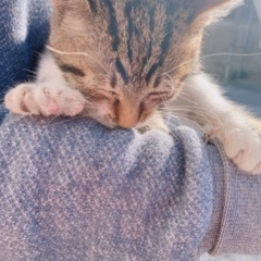 温かく迎えてくださる家族が見つかりました！！